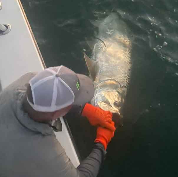 Image of a man holding a fish, featuring Saltwater Fishing Charters and highlighting his catch, illustrating a successful fishing trip.